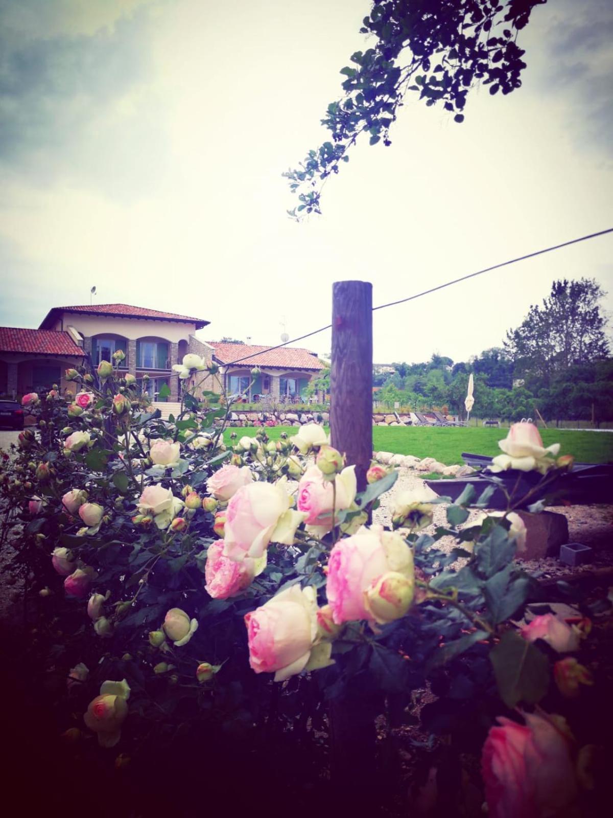 Orchidea Del Garda Rooms & Apartments Peschiera del Garda Buitenkant foto